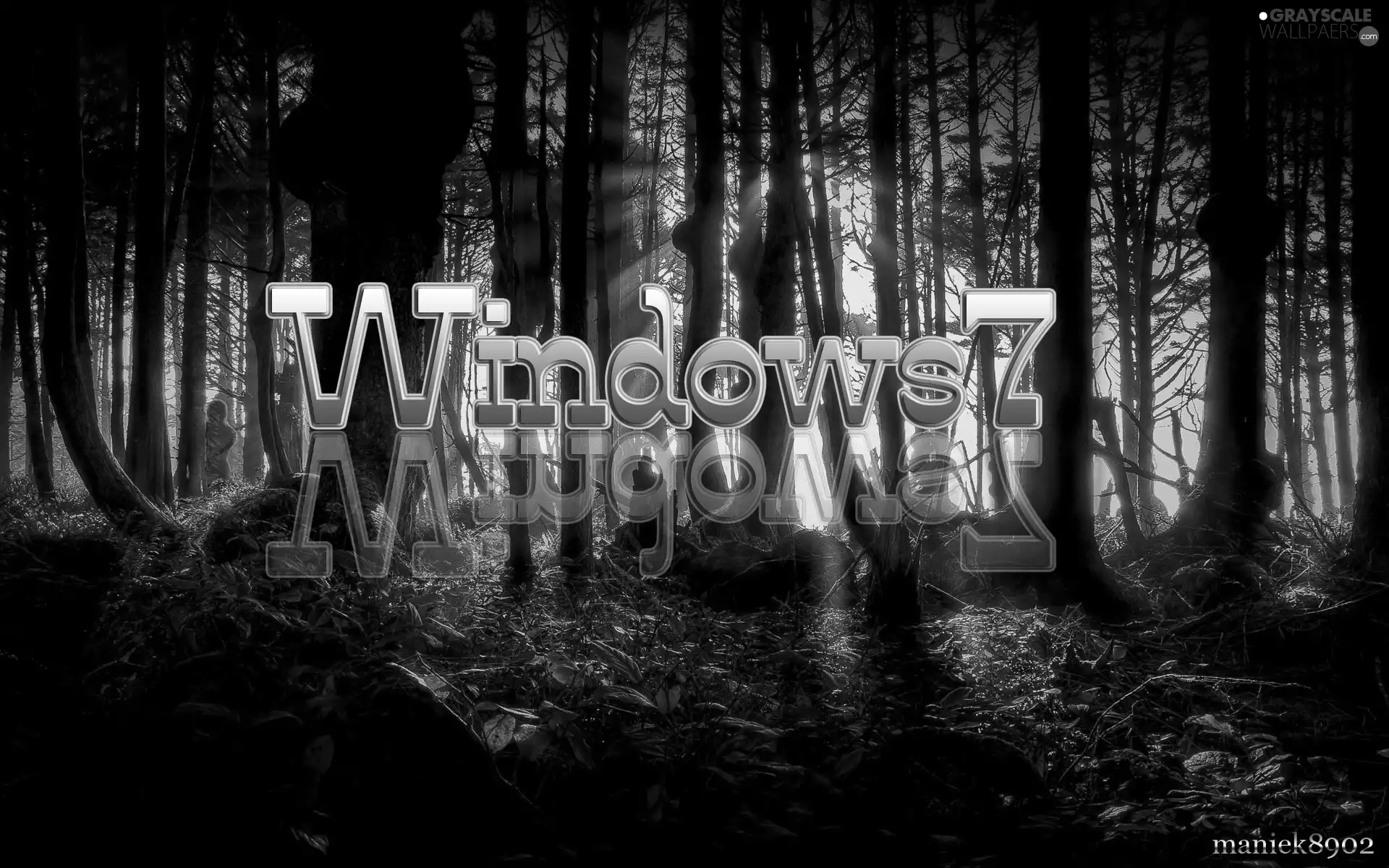 forest, Windows 7, dark