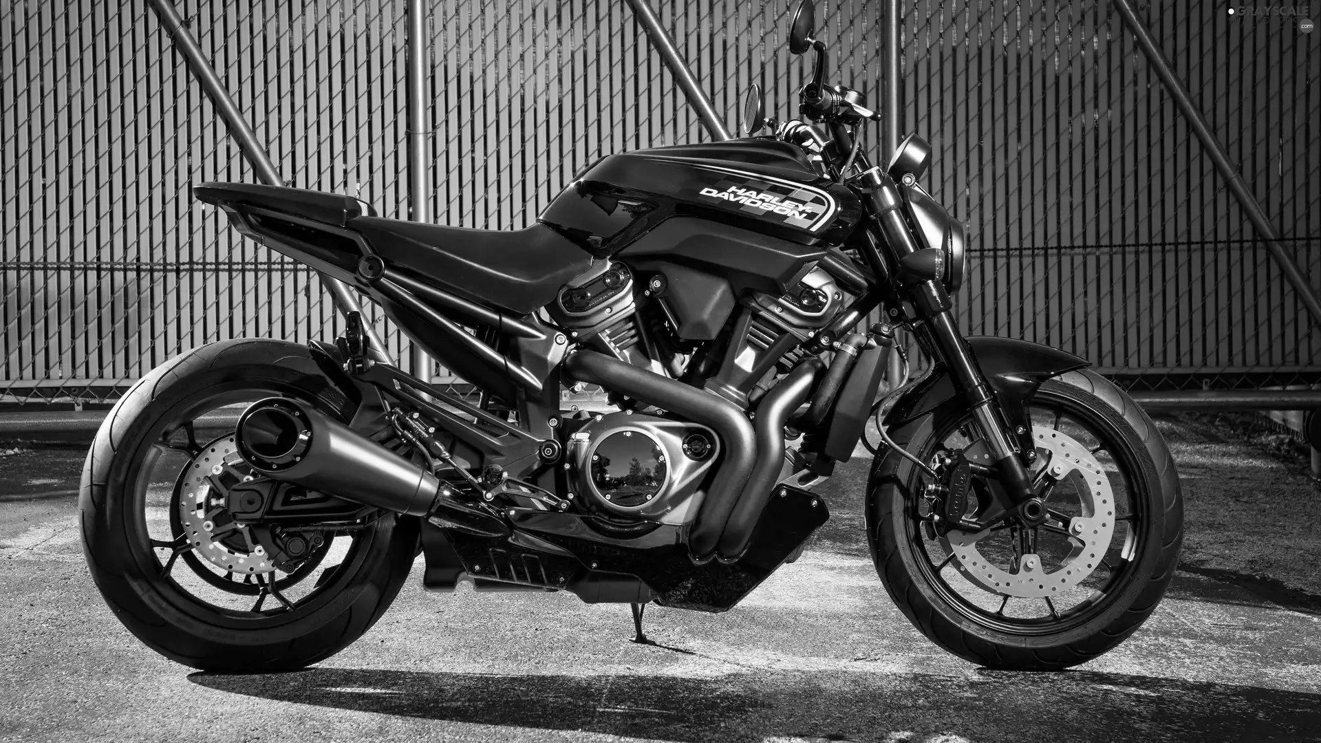 Harley-Davidson, 2020, Prototype, Streetfighter