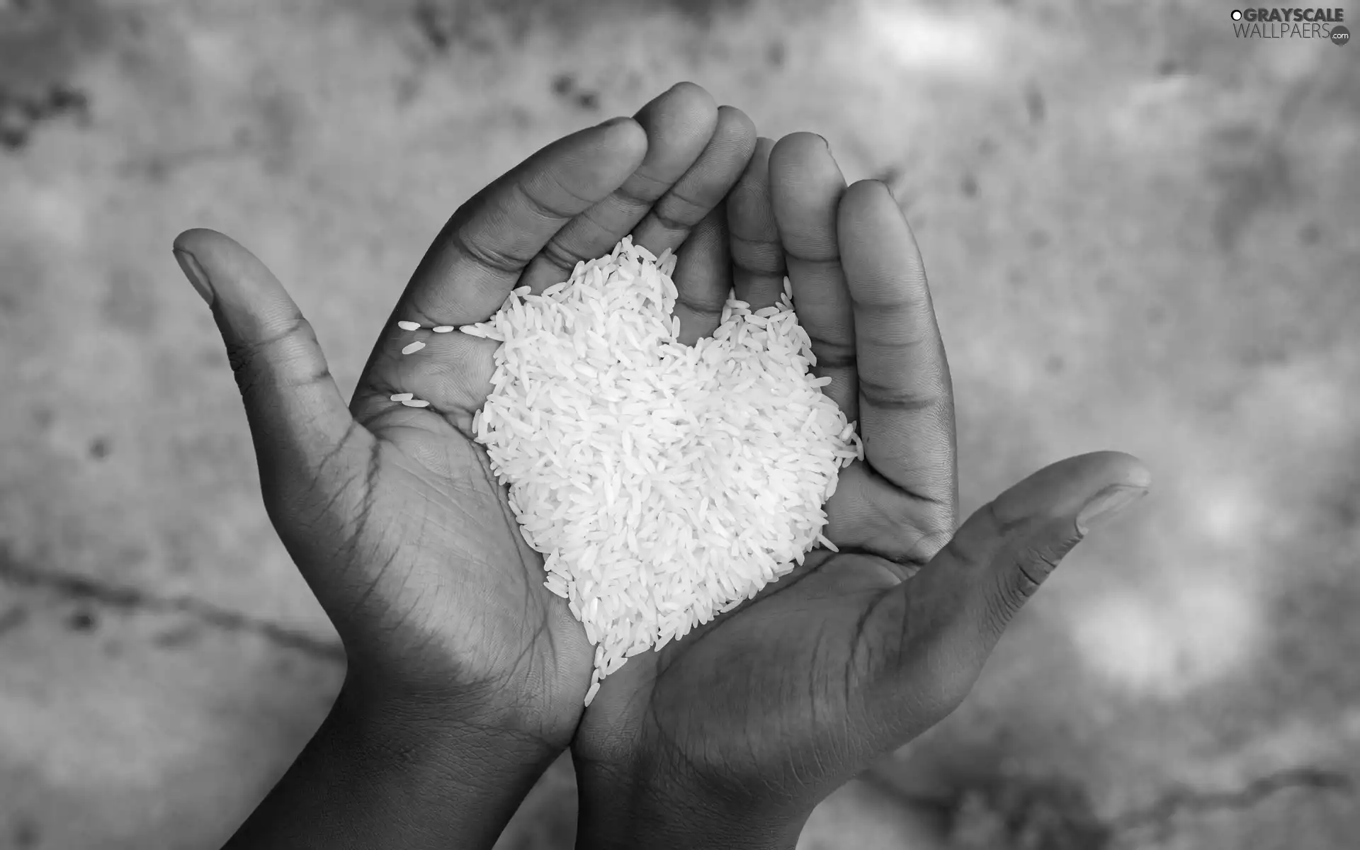 DBZ, rice, White, Heart, hands