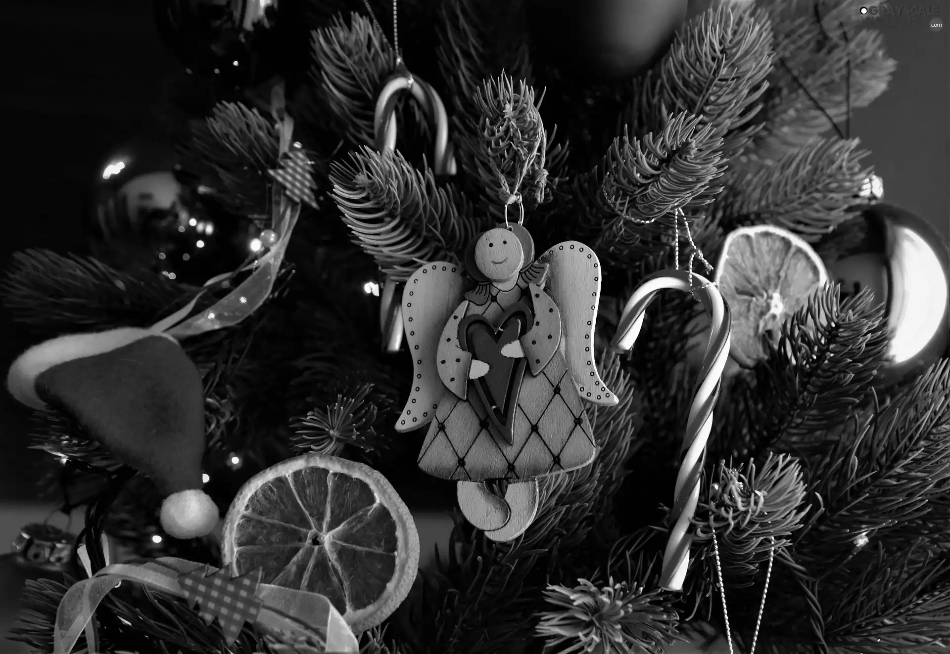 decor, angel, Nicholas, dried, Hat, christmas tree, Christmas, Fruits