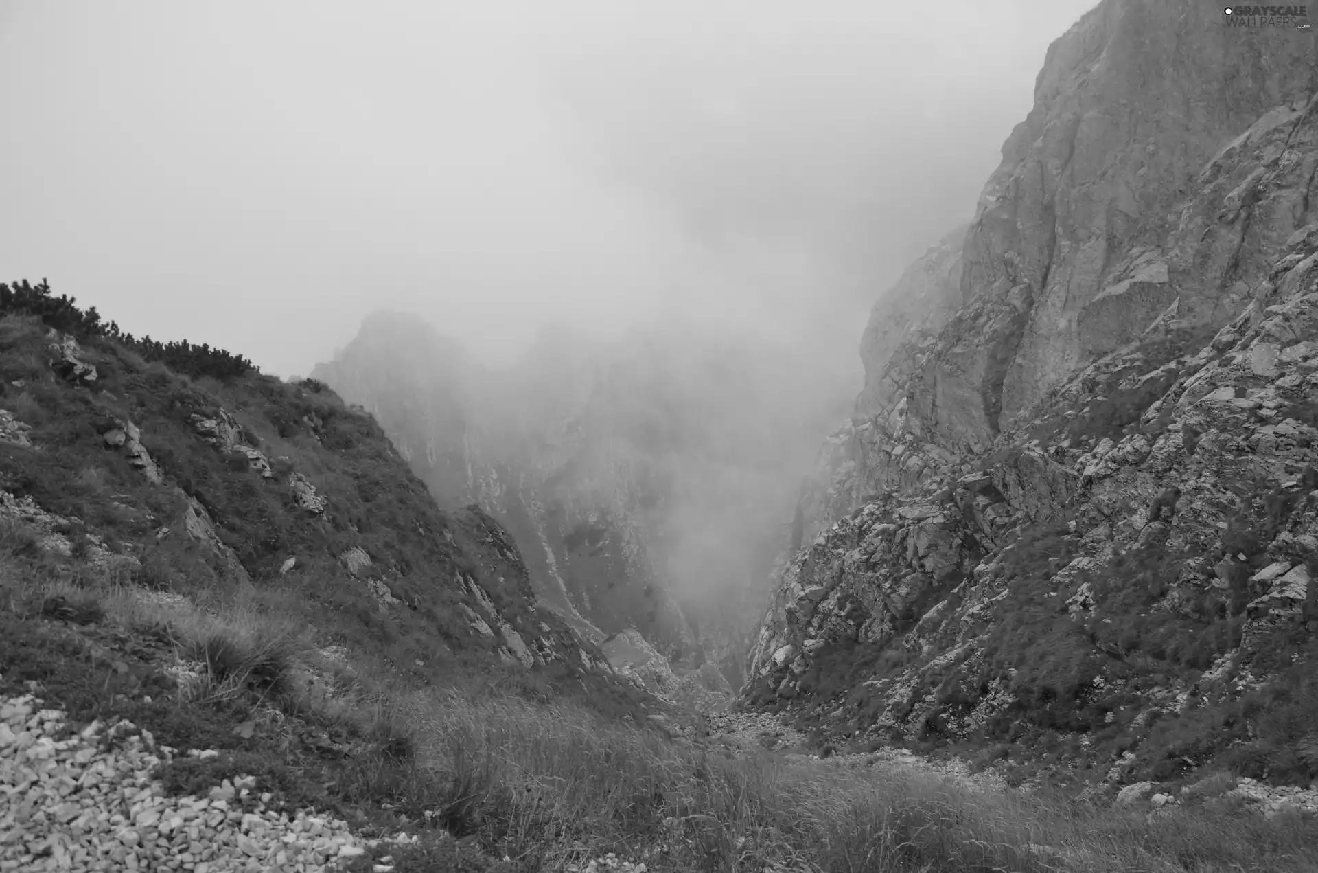 Mountains, Steep, descent, Fog