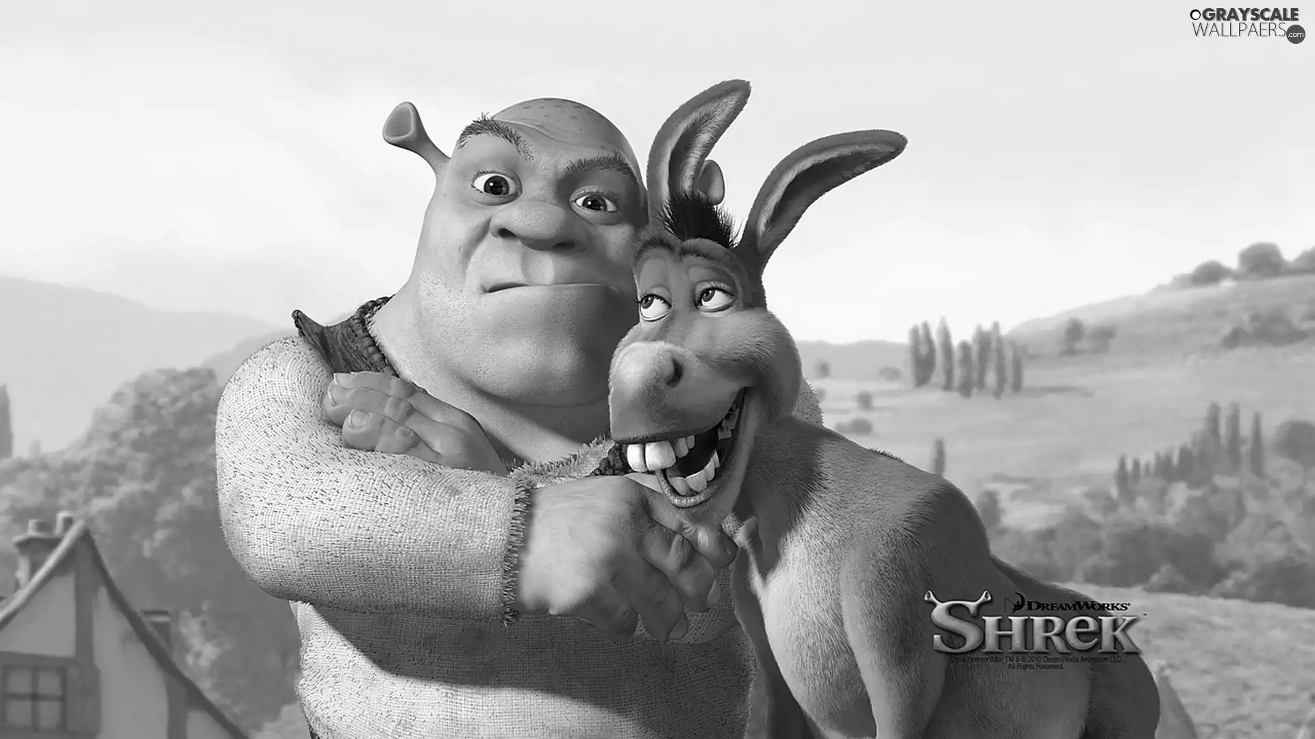 Shrek, donkey