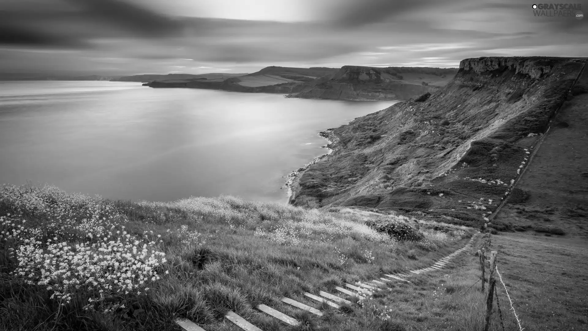 Flowers, The Hills, England, Stairs, County Dorset, Meadow, sea, Jurassic Coast