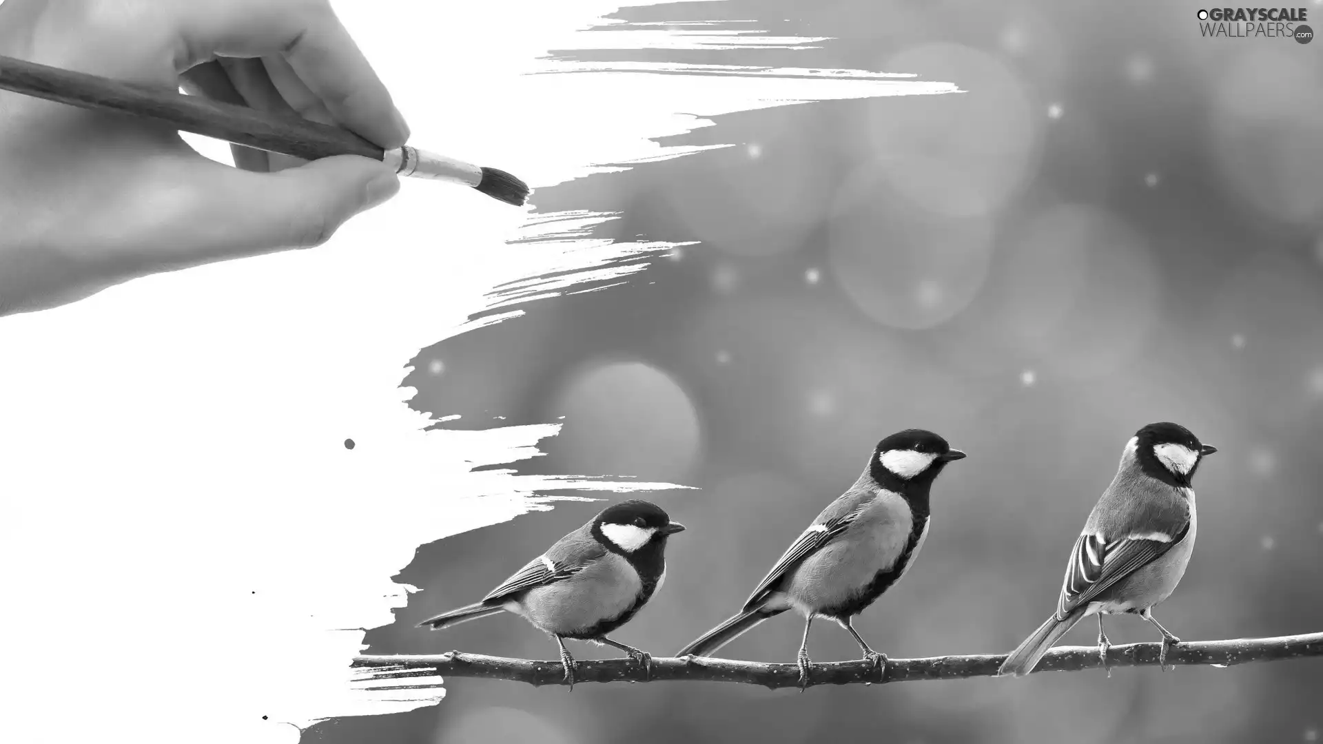 Chickadees, painting, Drawing, brush