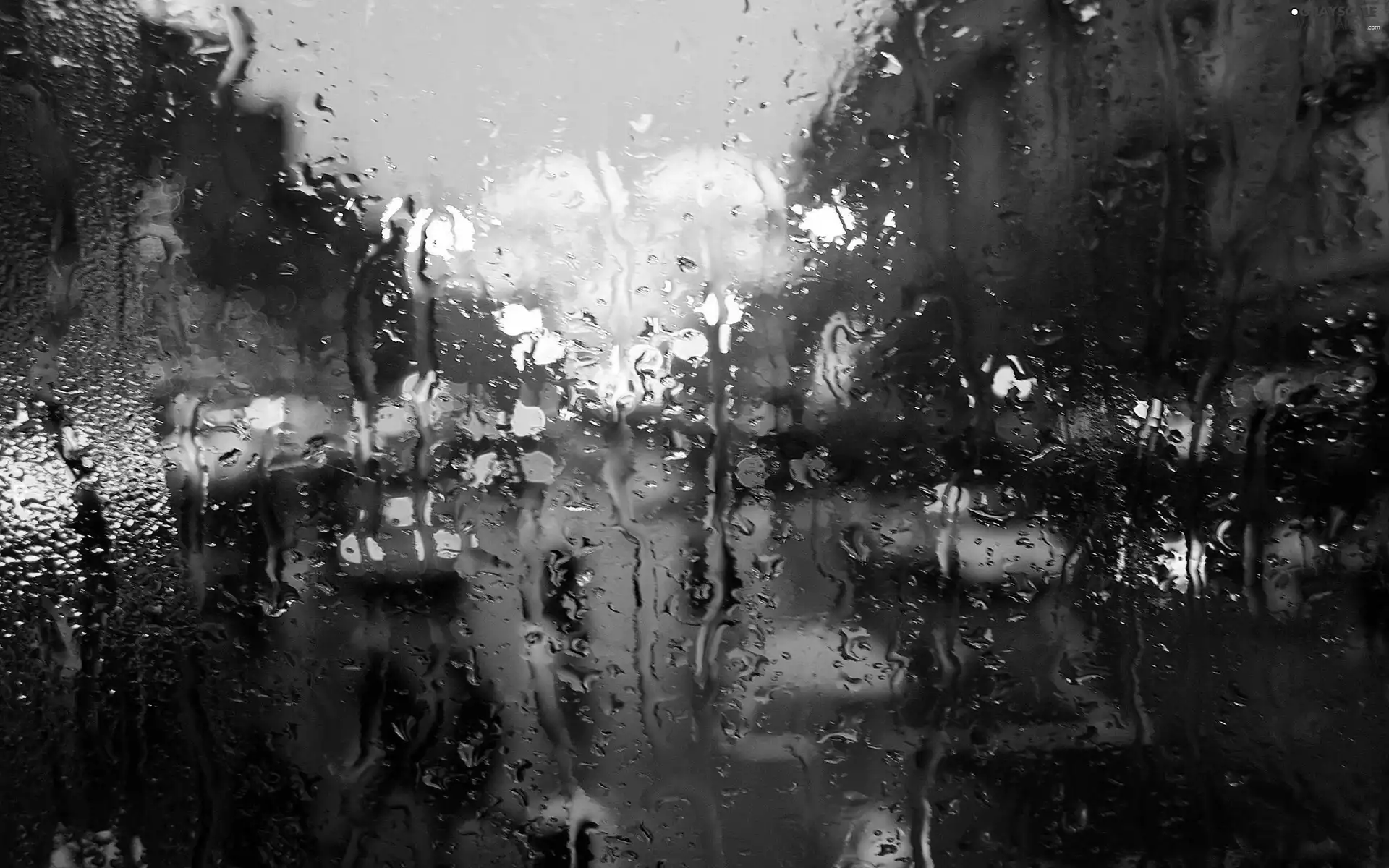 drops, Town, Rain
