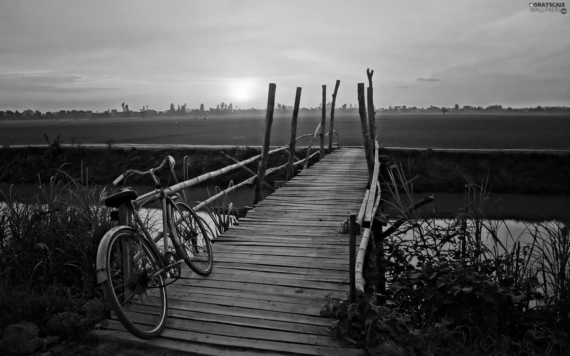 Bike, brook, east, sun, medows, footbridge