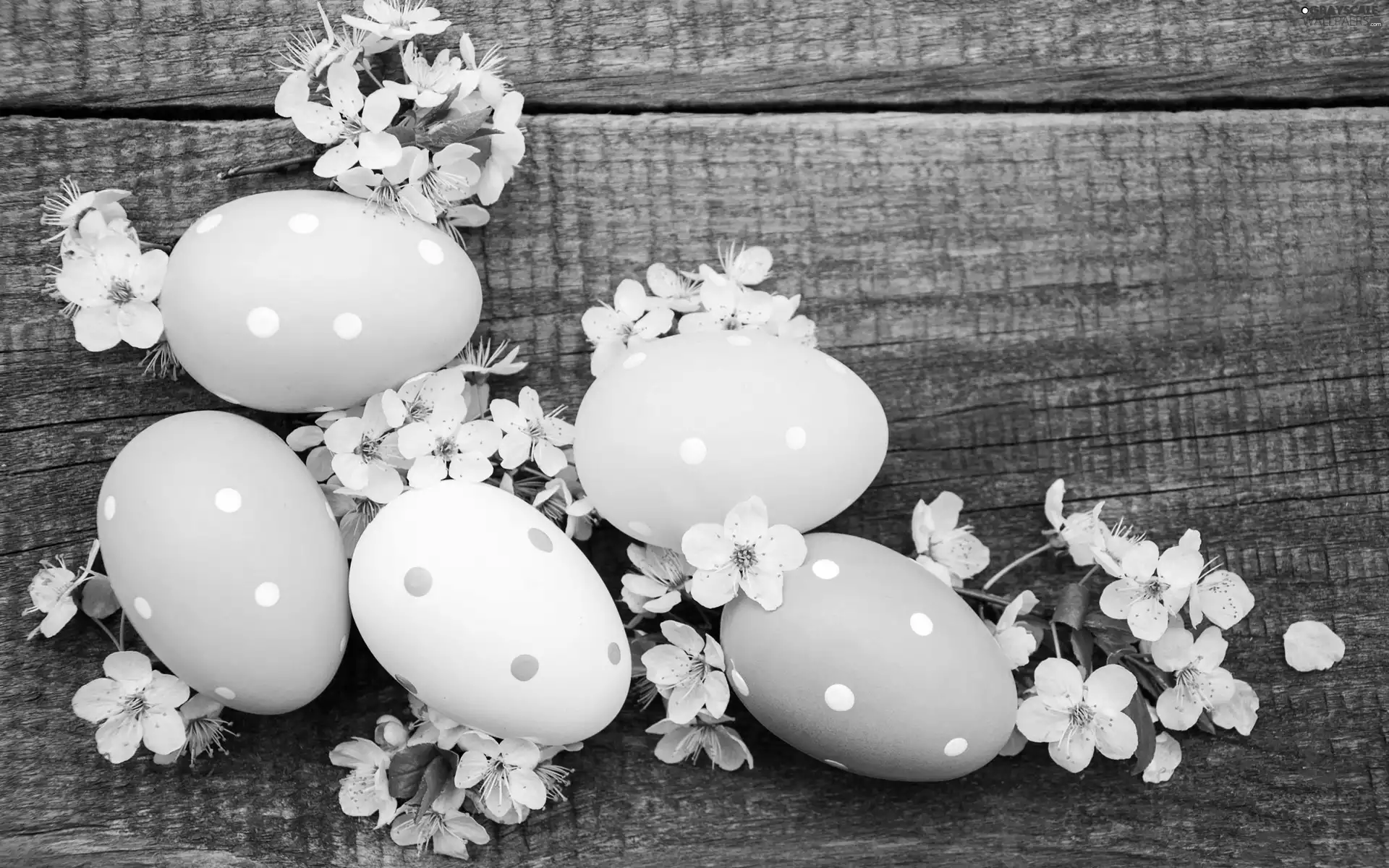Flowers, Easter, eggs, White, eggs