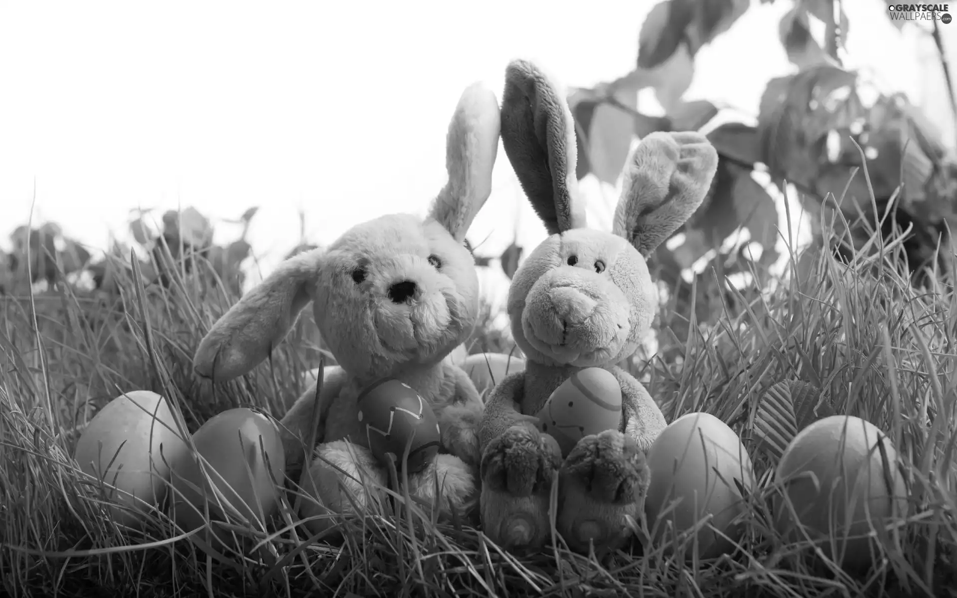 rabbits, Meadow, Easter, eggs