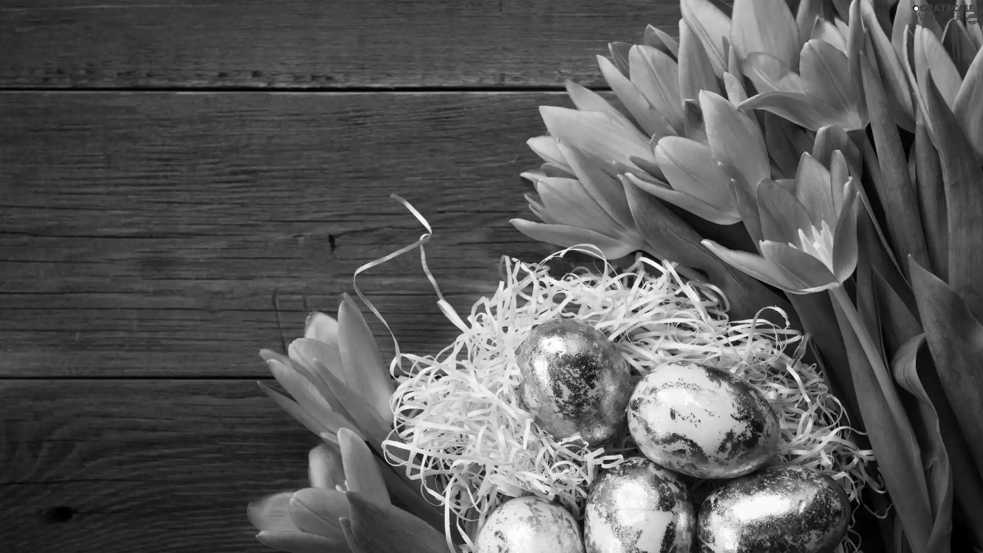 Tulips, boarding, Easter, eggs