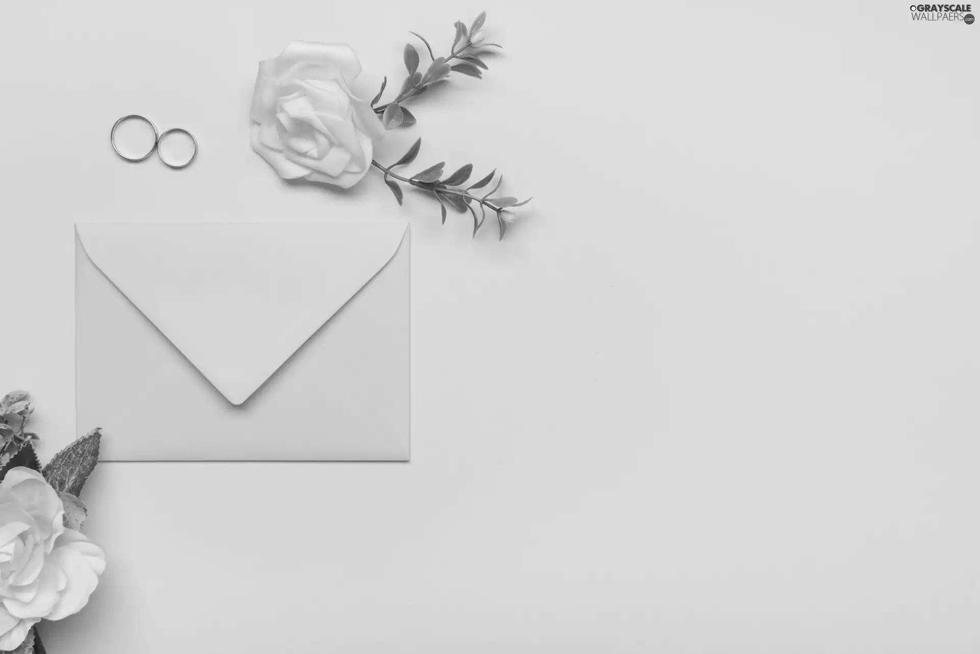 rings, envelope, Flowers, roses, marriage