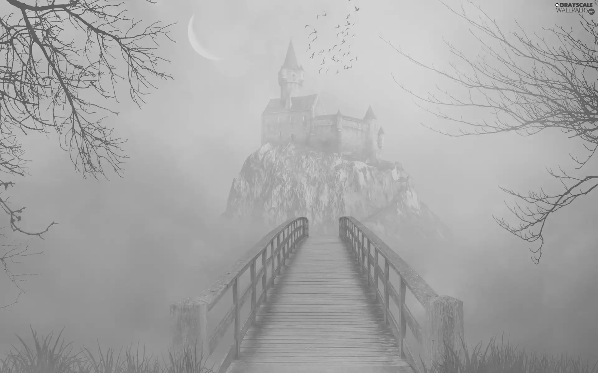 Fog, bridge, birds, fantasy, moon, Castle