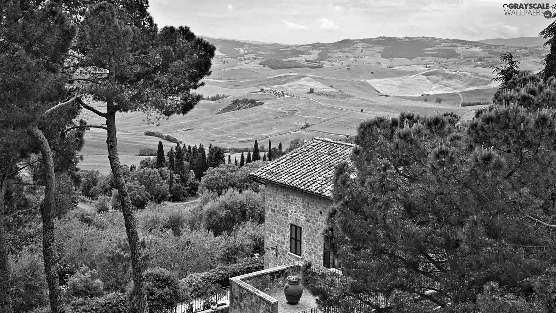 The Hills, Garden, medows, pine, house, field, Tuscany