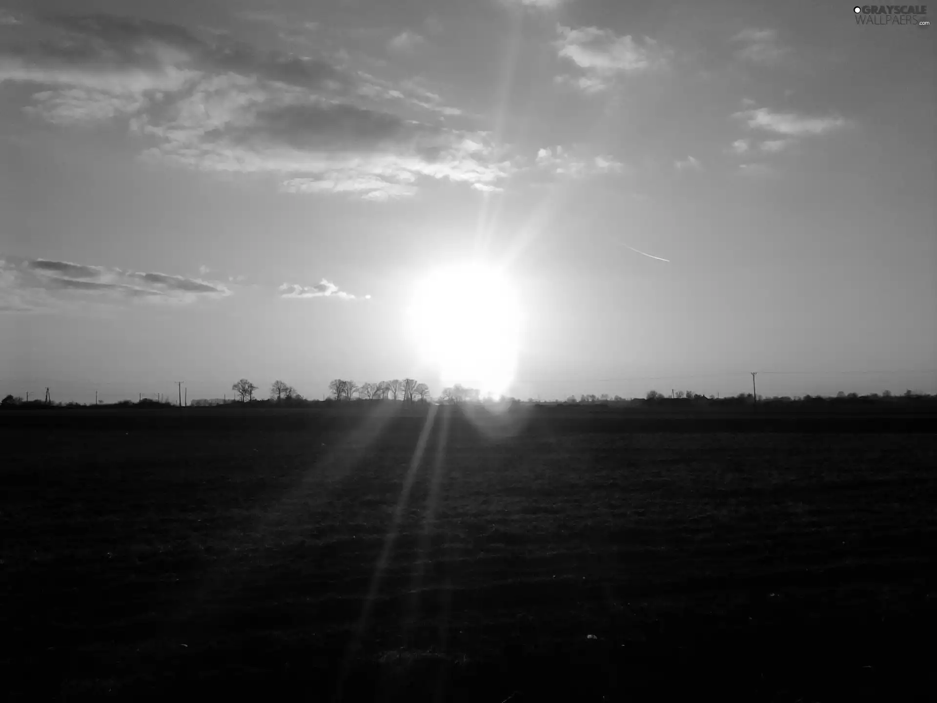 rays of the Sun, Field