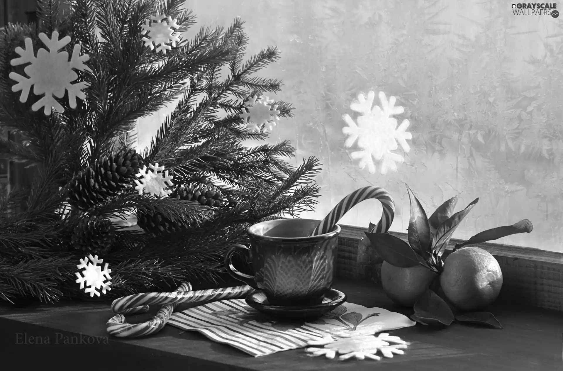 fir, Christmas, cones, Snow White, frozen, Window, cup, lollipops, mandarin