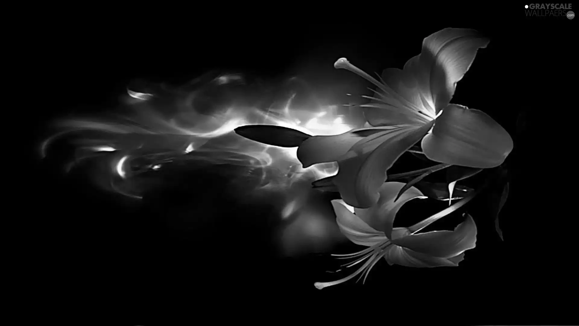 flame, graphics, Flowers