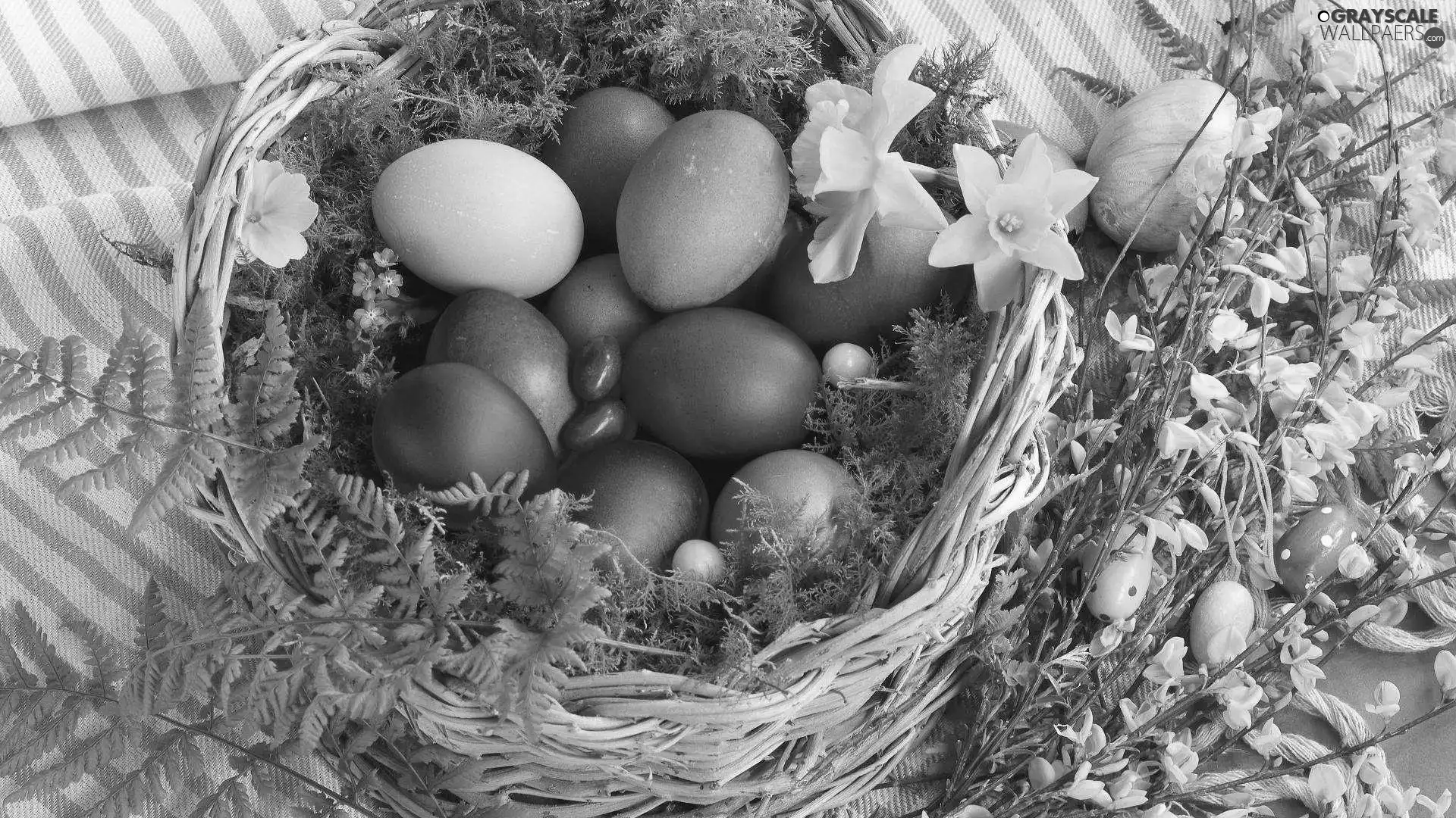 basket, Yellow, Flowers, eggs