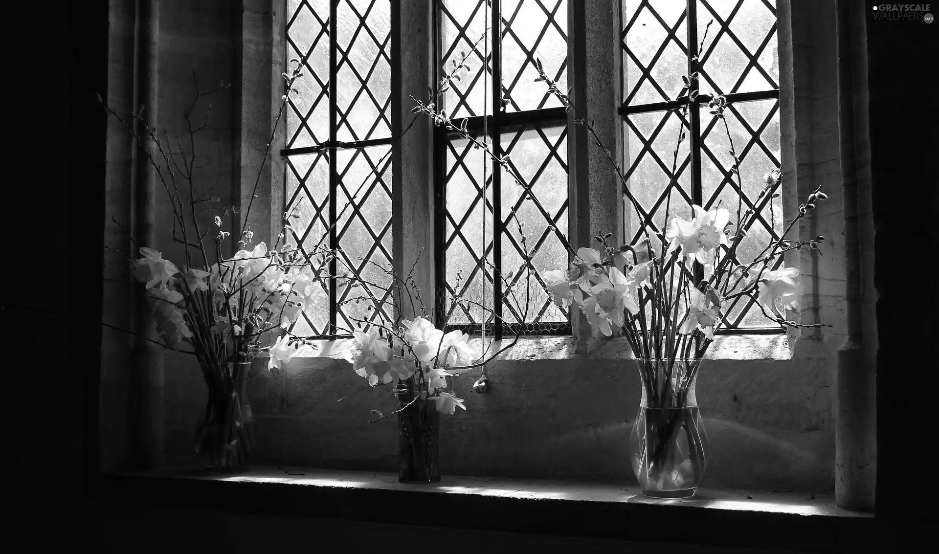 flowers, Daffodils, Window, Bouquets, interior
