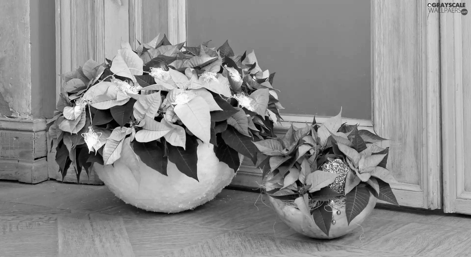 Flowers, pots, ornament