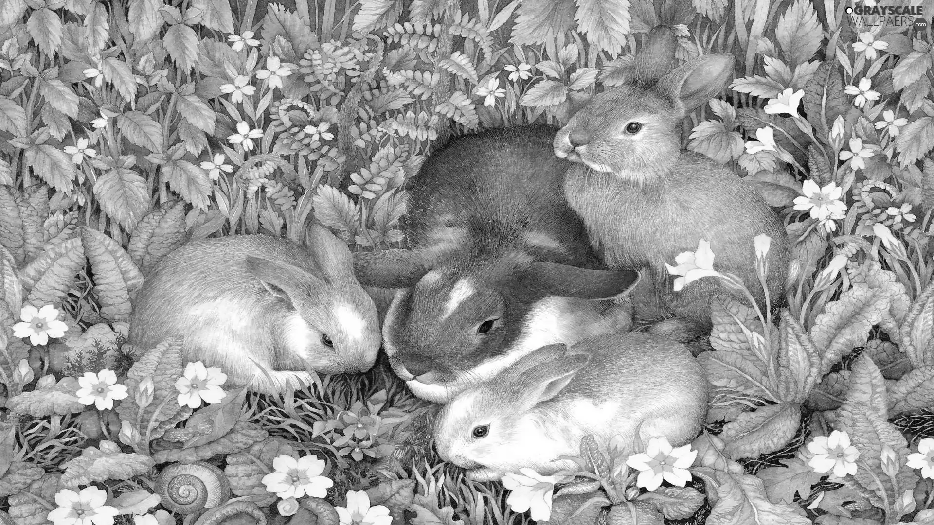 Rabbits, Flowers