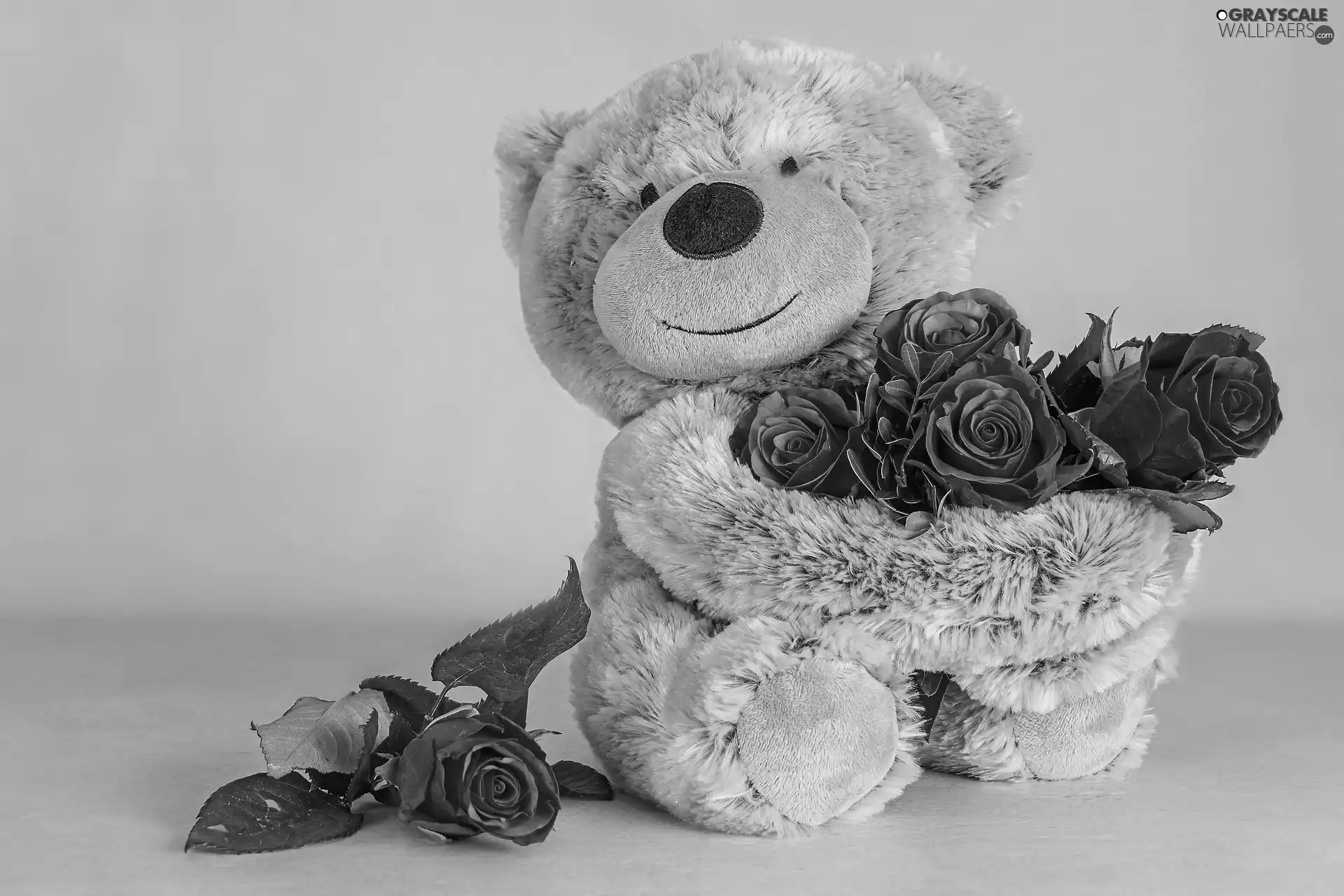 Plush, Flowers, roses, teddy bear