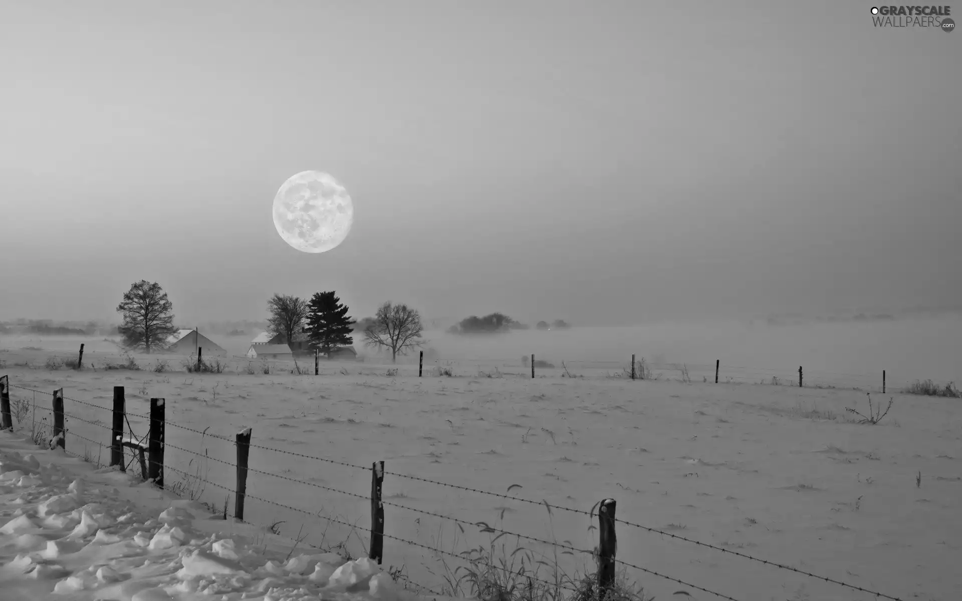 field, winter, Fog, moon, snow, twilight