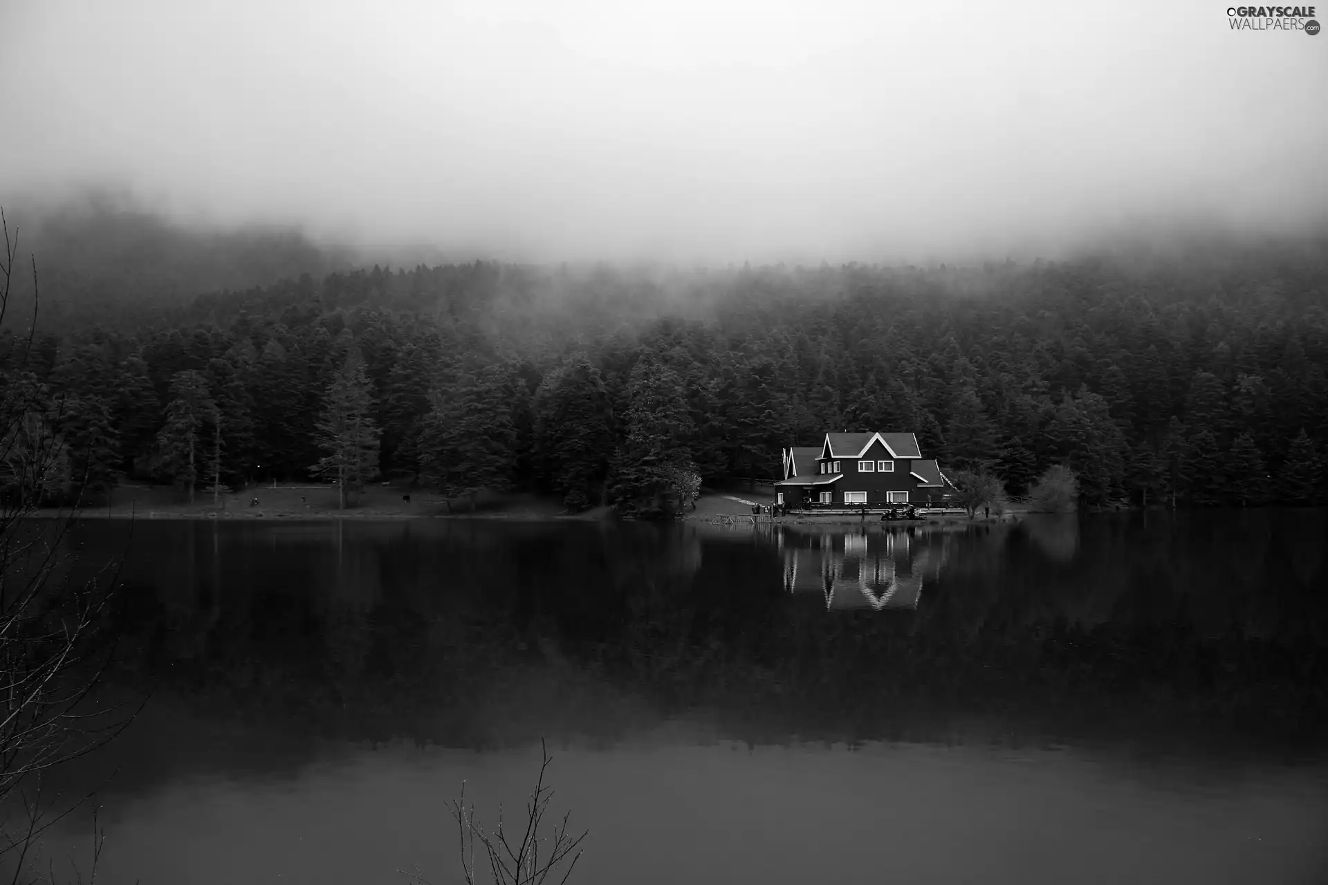 Fog, reflection, forest, house, lake