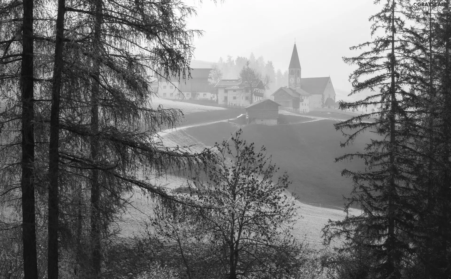 Church, viewes, Way, The Hills, trees, Houses, Fog