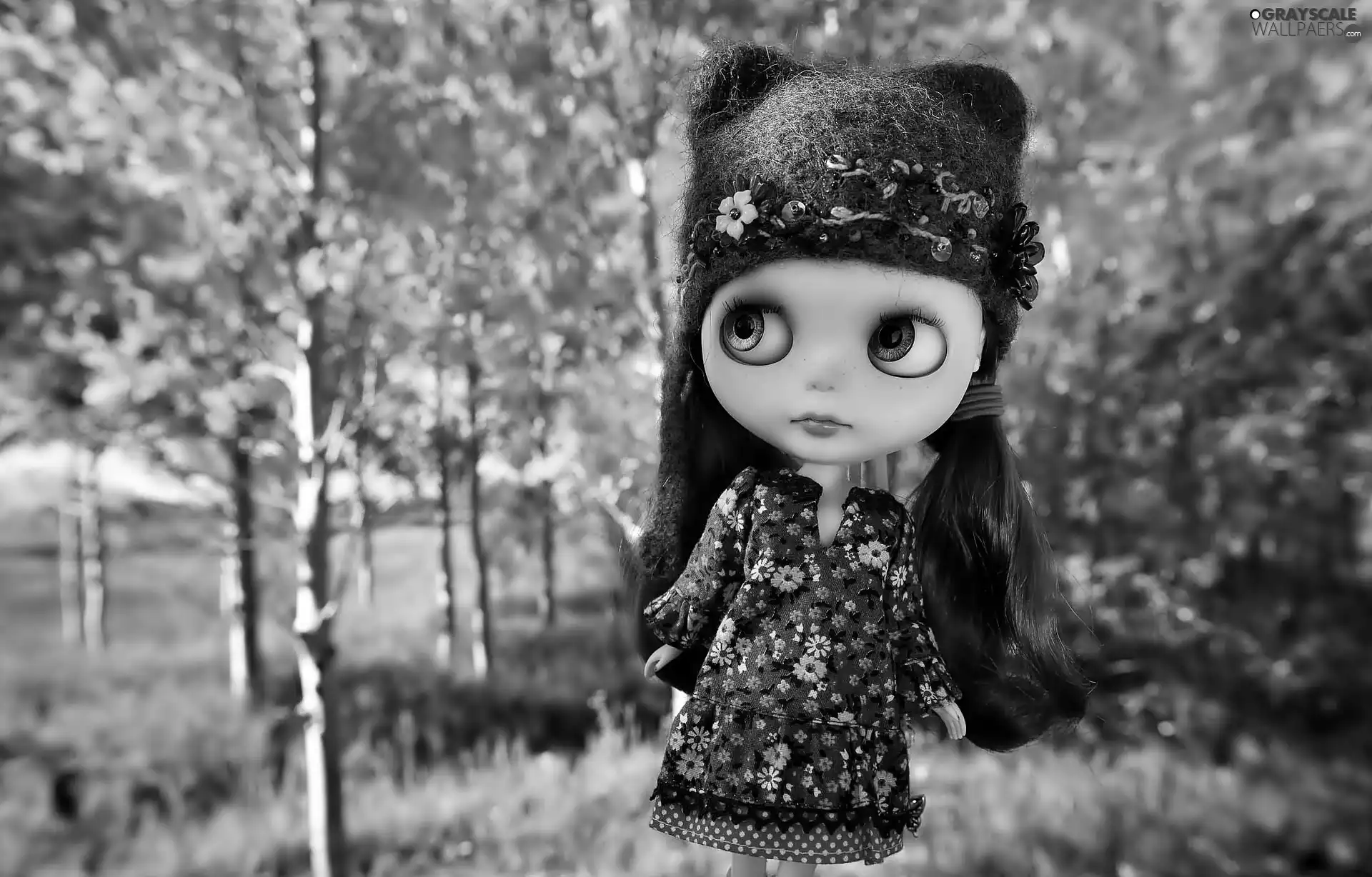 doll, In Forest