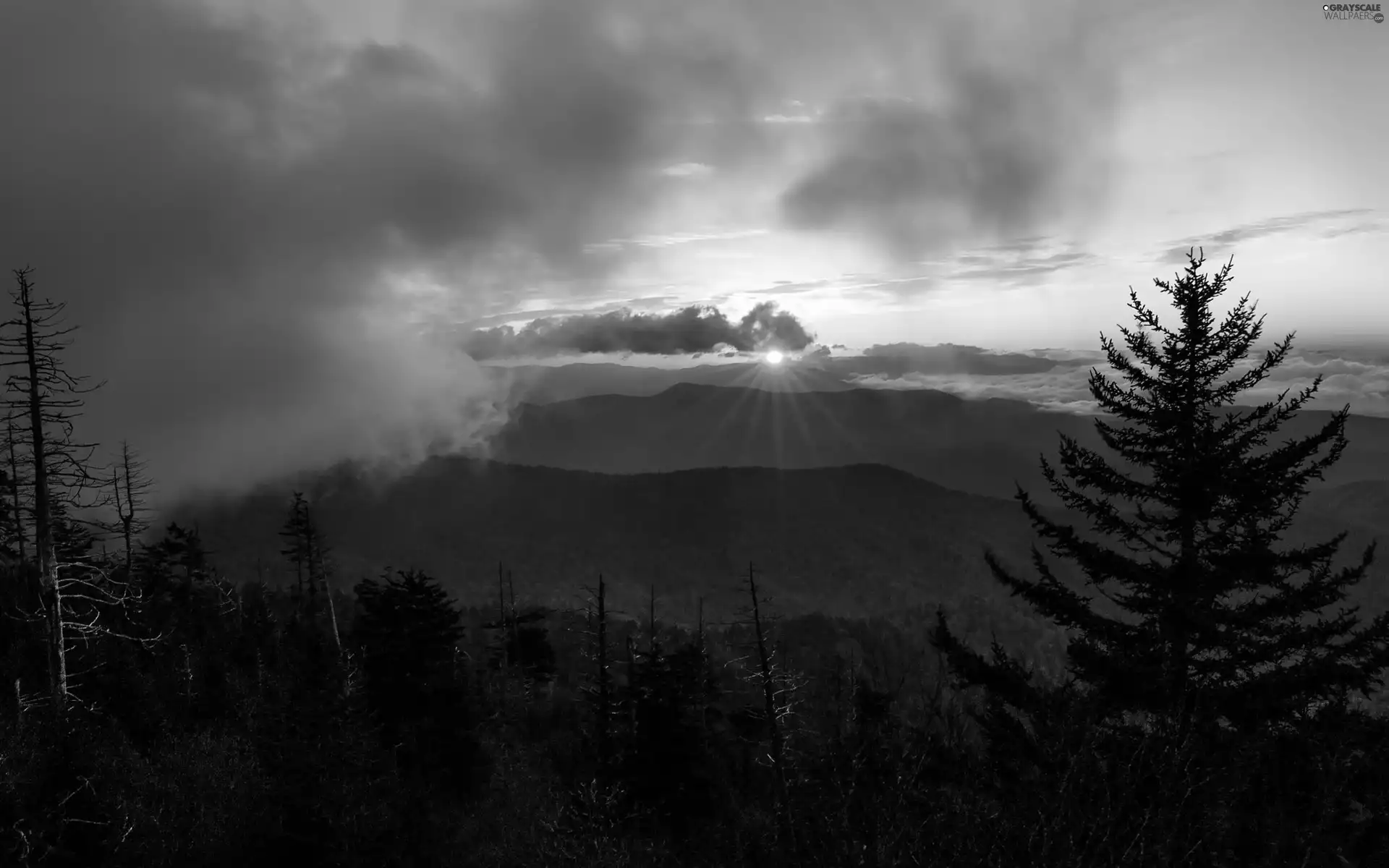 Mountains, clouds, forest, sun