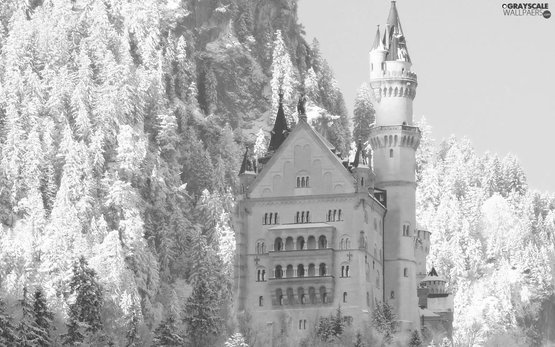 Neuschwanstein Castle, Germany, trees, viewes, woods, Bavaria