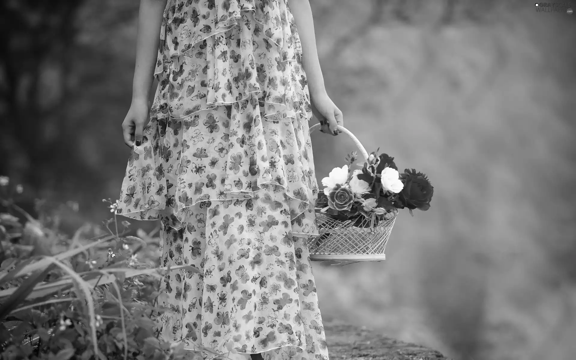 forest, Path, basket, Women, roses
