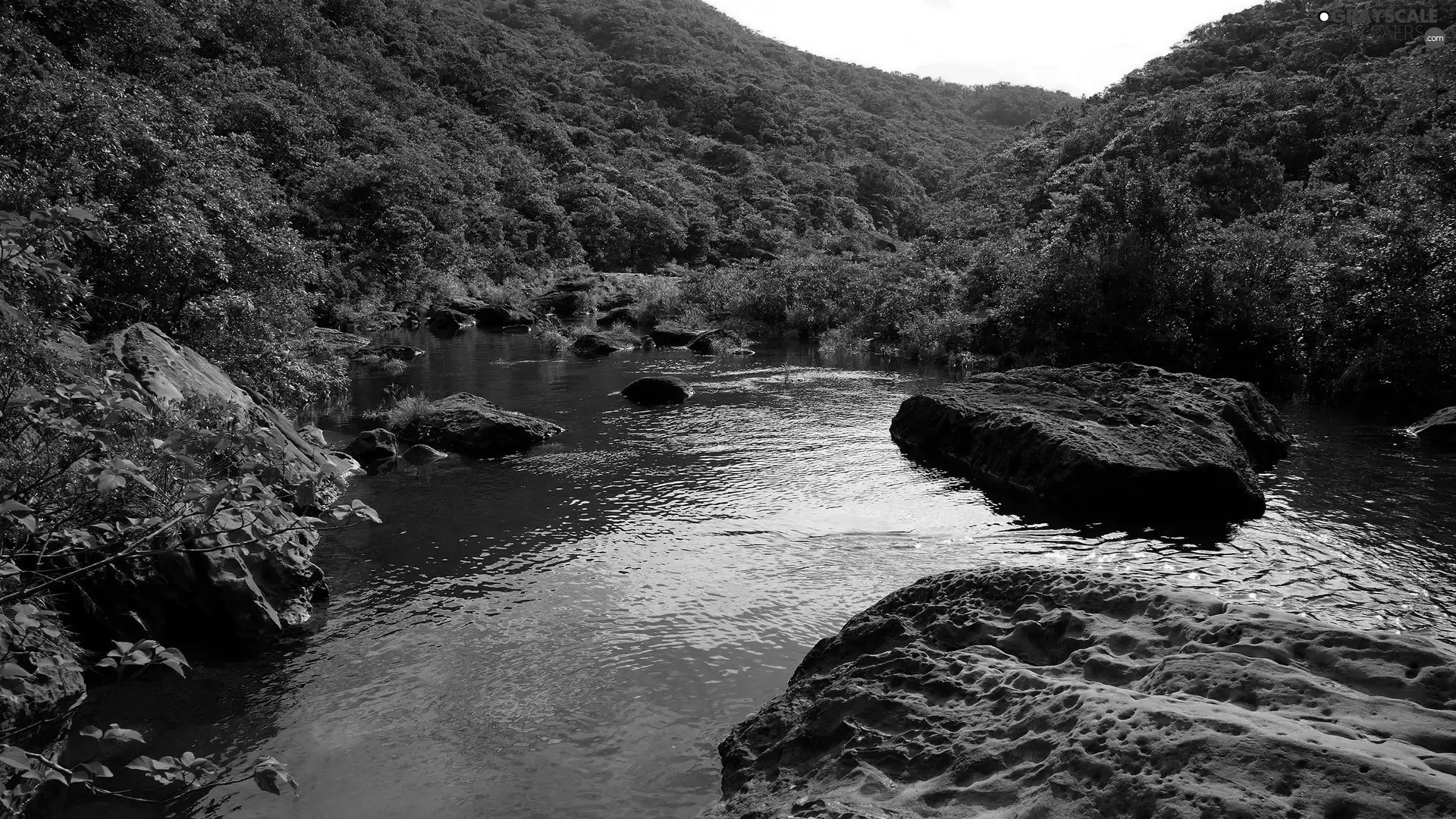 River, Stones, forest, rocks