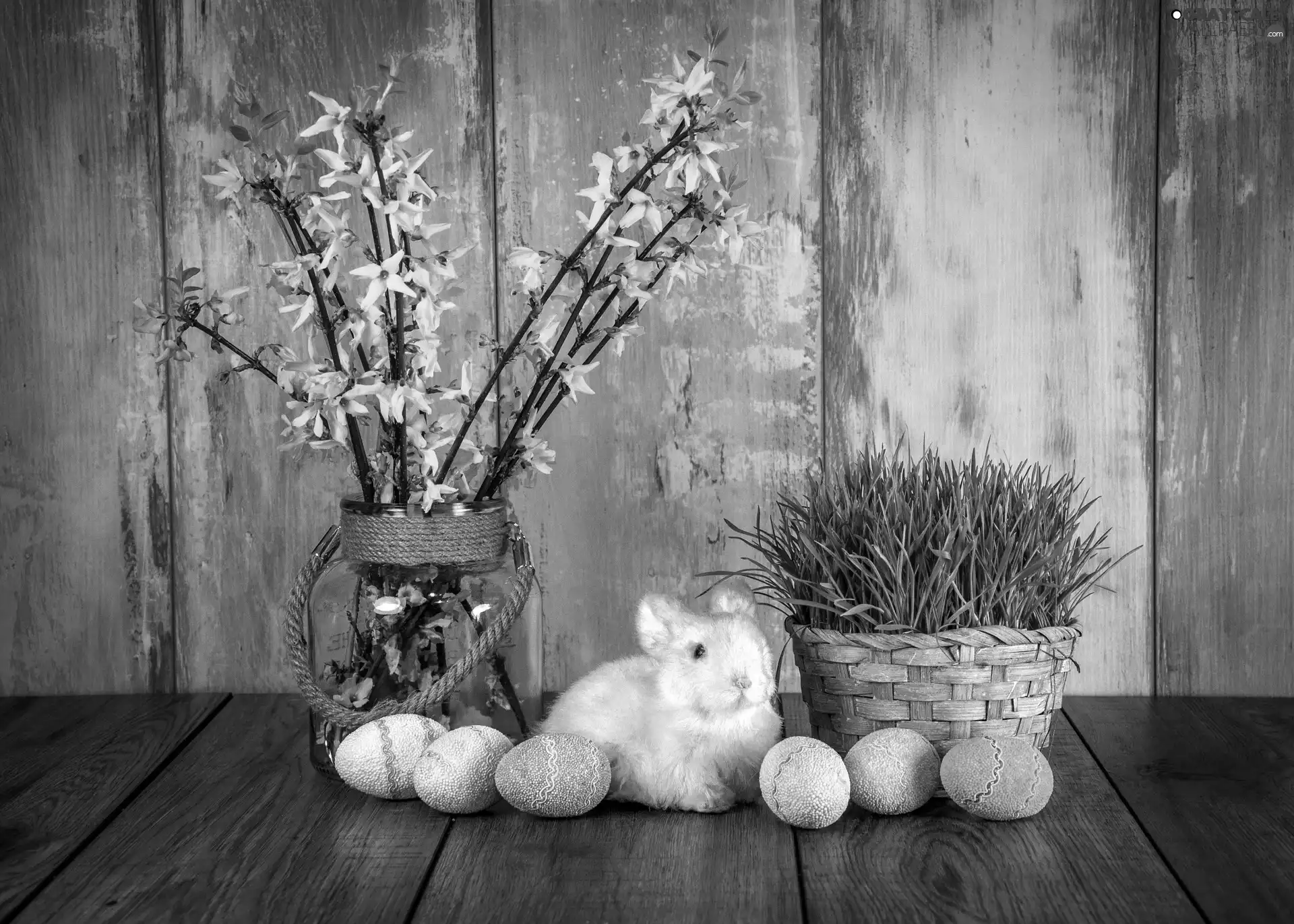 Twigs, forsythia, eggs, cuckooflower, Easter