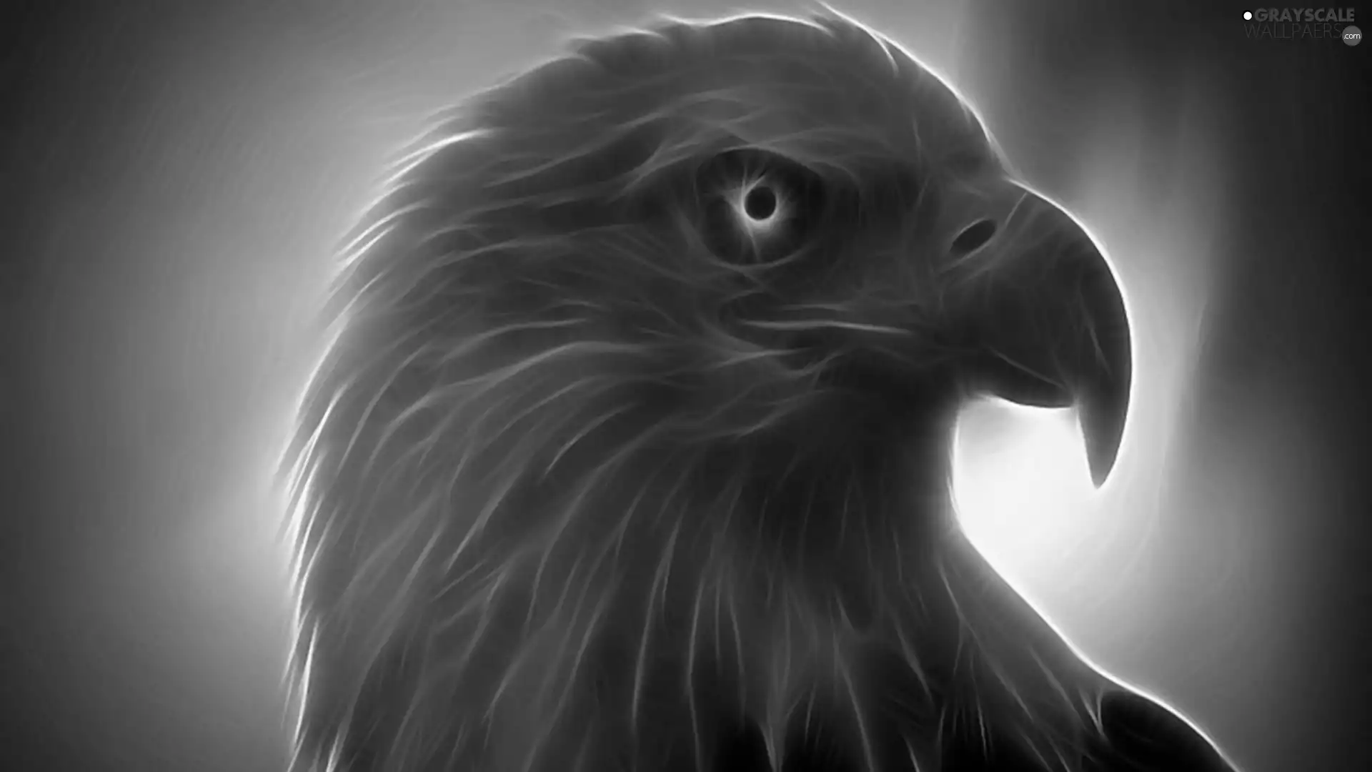 eagle, Fractalius