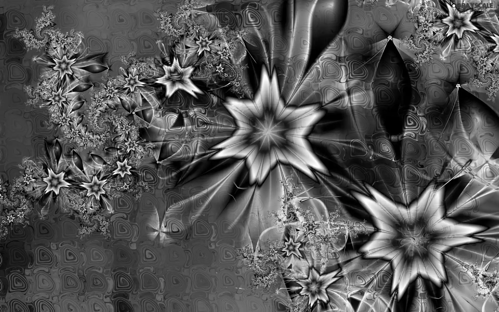 Fraktal, abstraction, Flowers