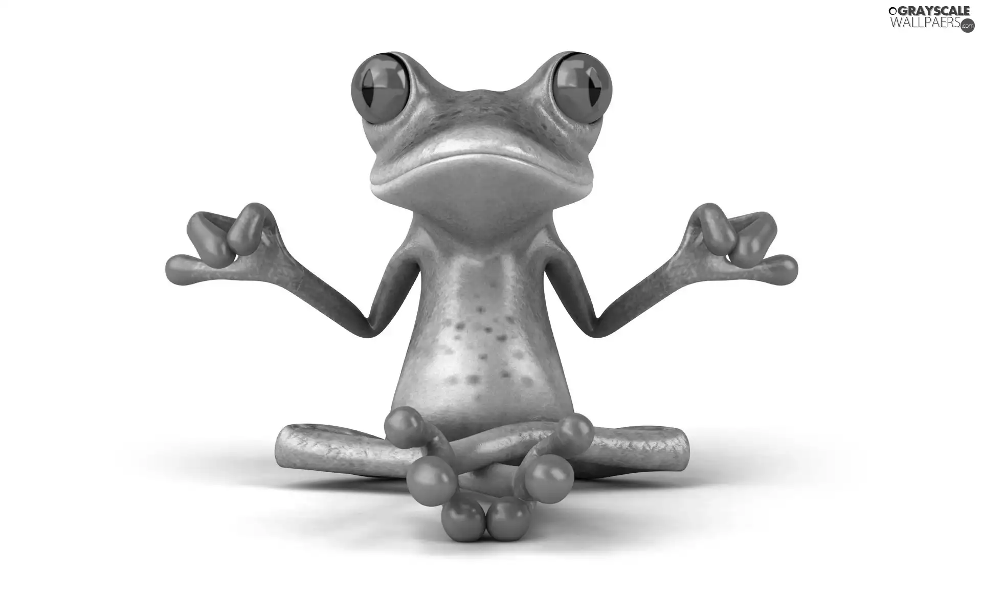 meditation, strange frog