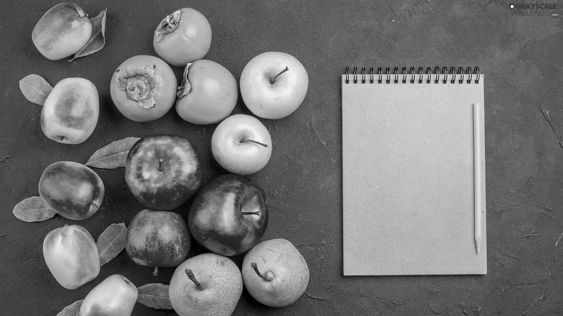 truck concrete mixer, note-book, apples, Kaki, Fruits