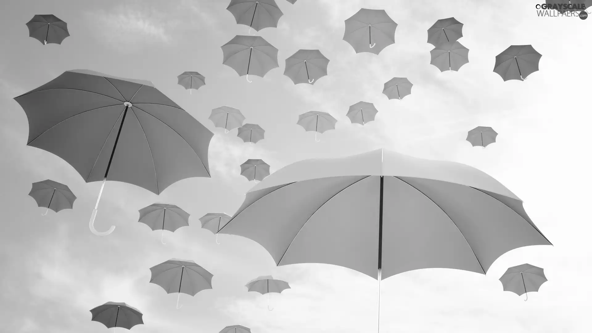 umbrellas, 2D Graphics