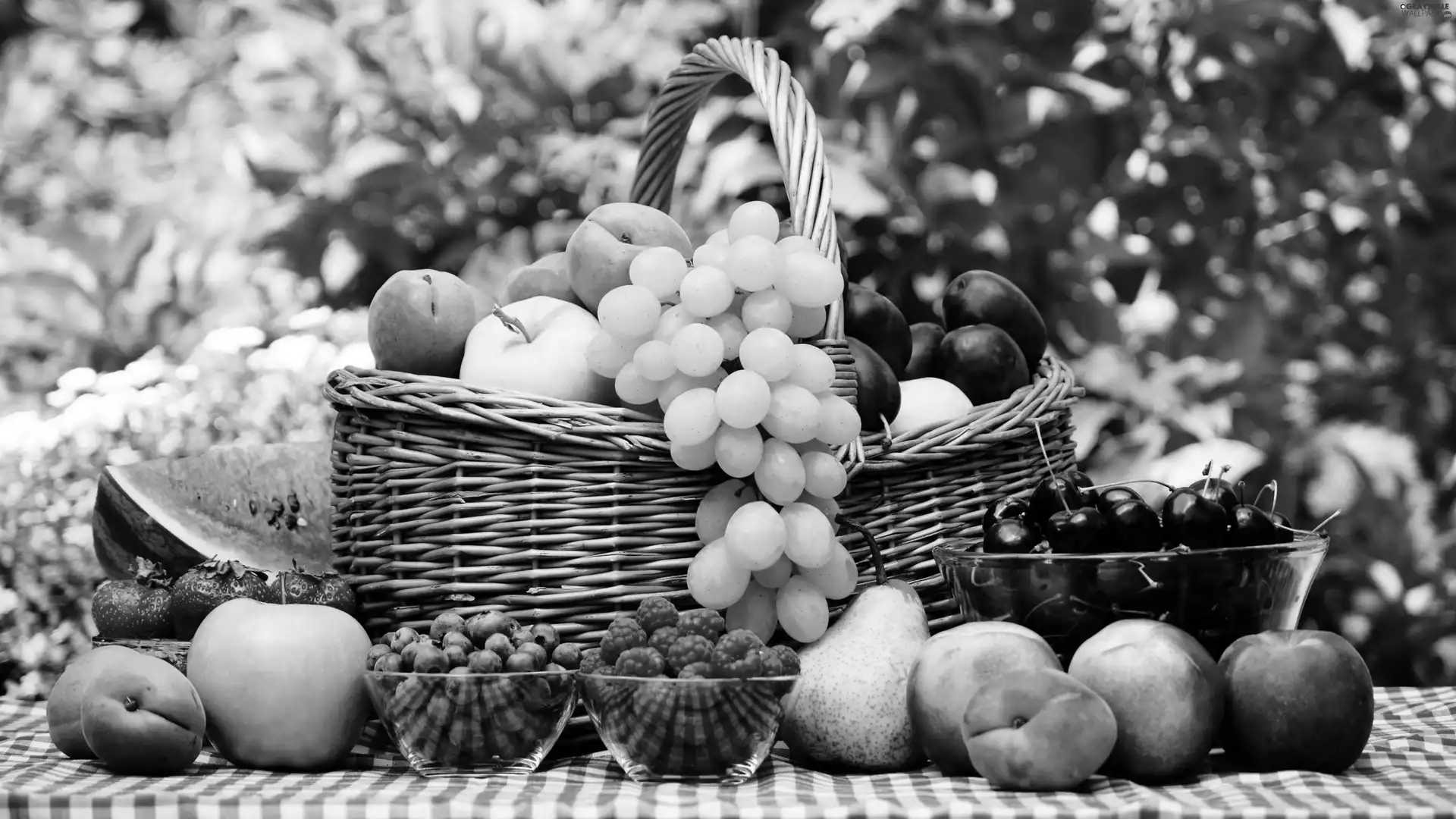 Garden, Fruits, basket