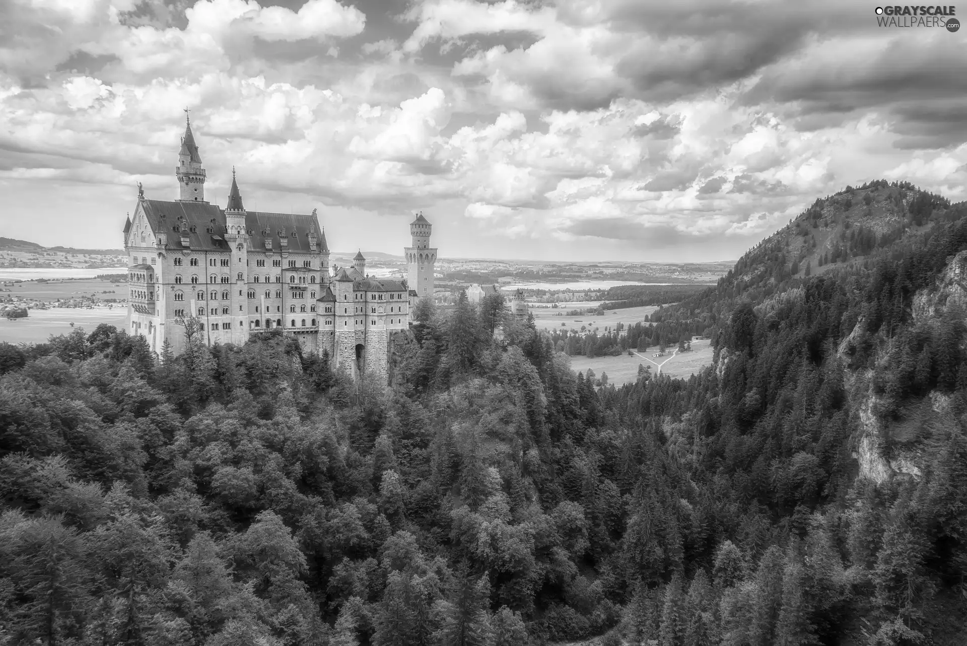 Castle, forested, Bavaria, Germany, Neuschwanstein, Mountains