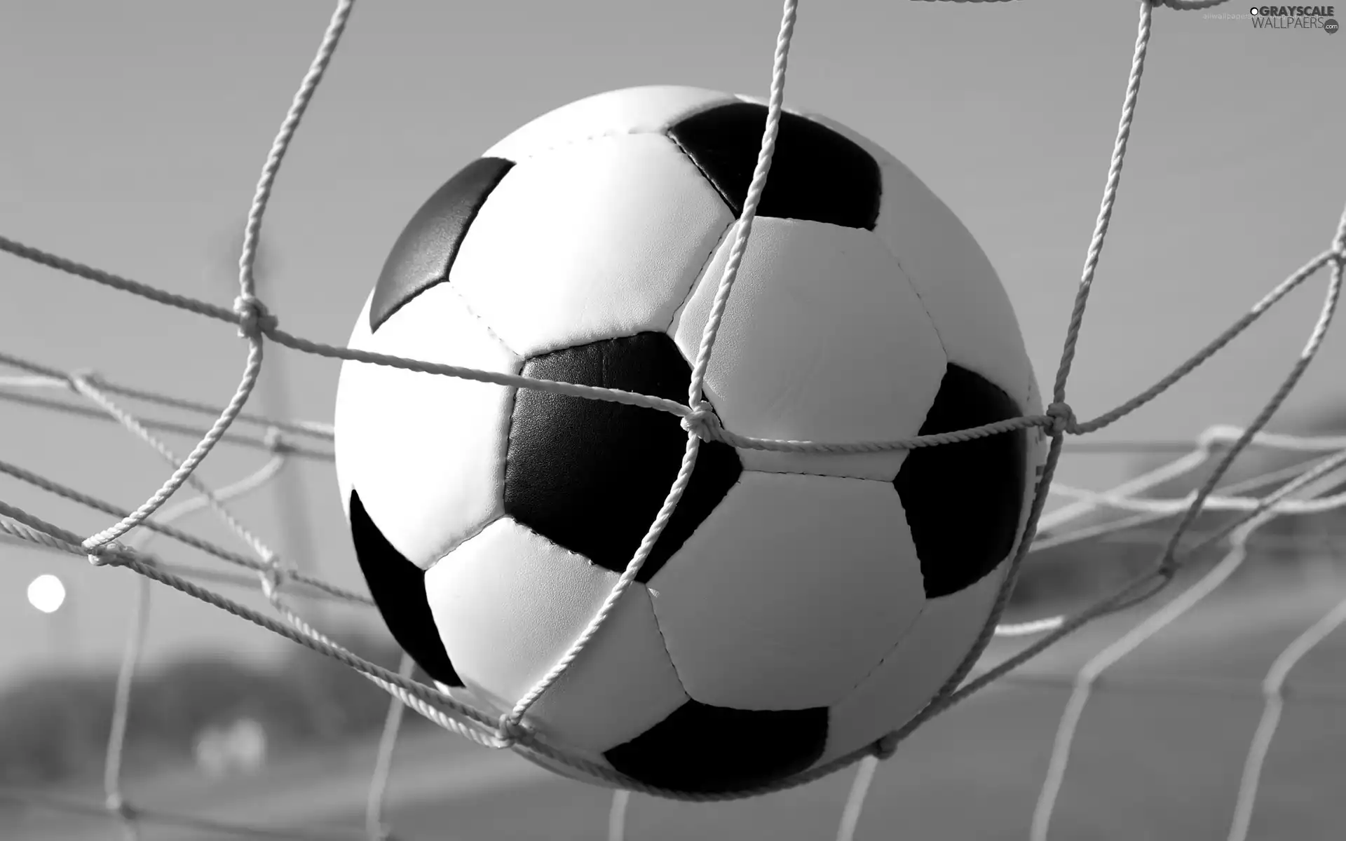 Ball, Sport, goal, gate
