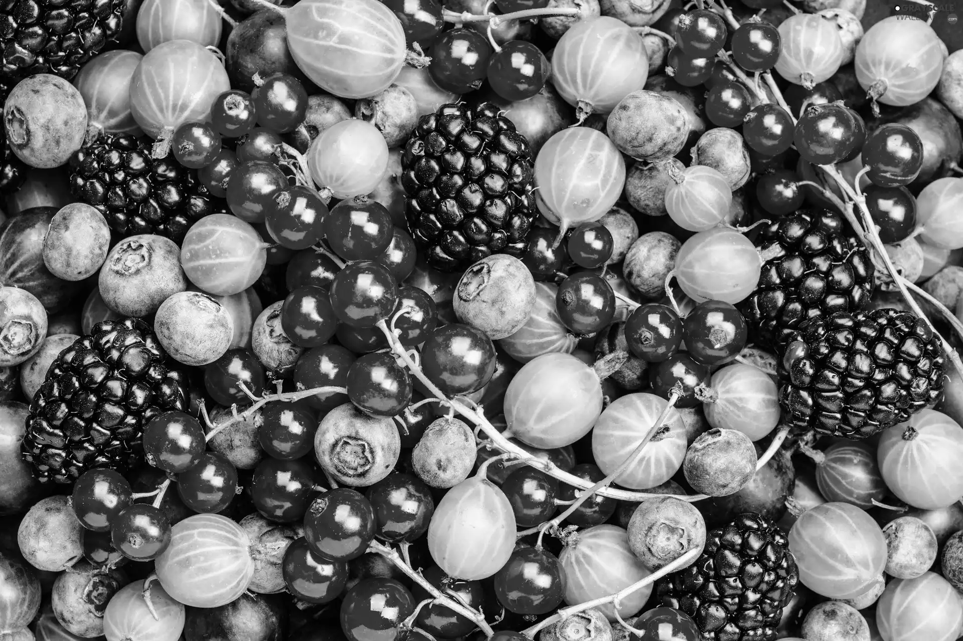 gooseberry, blackberries, currants, blueberries, Fruits