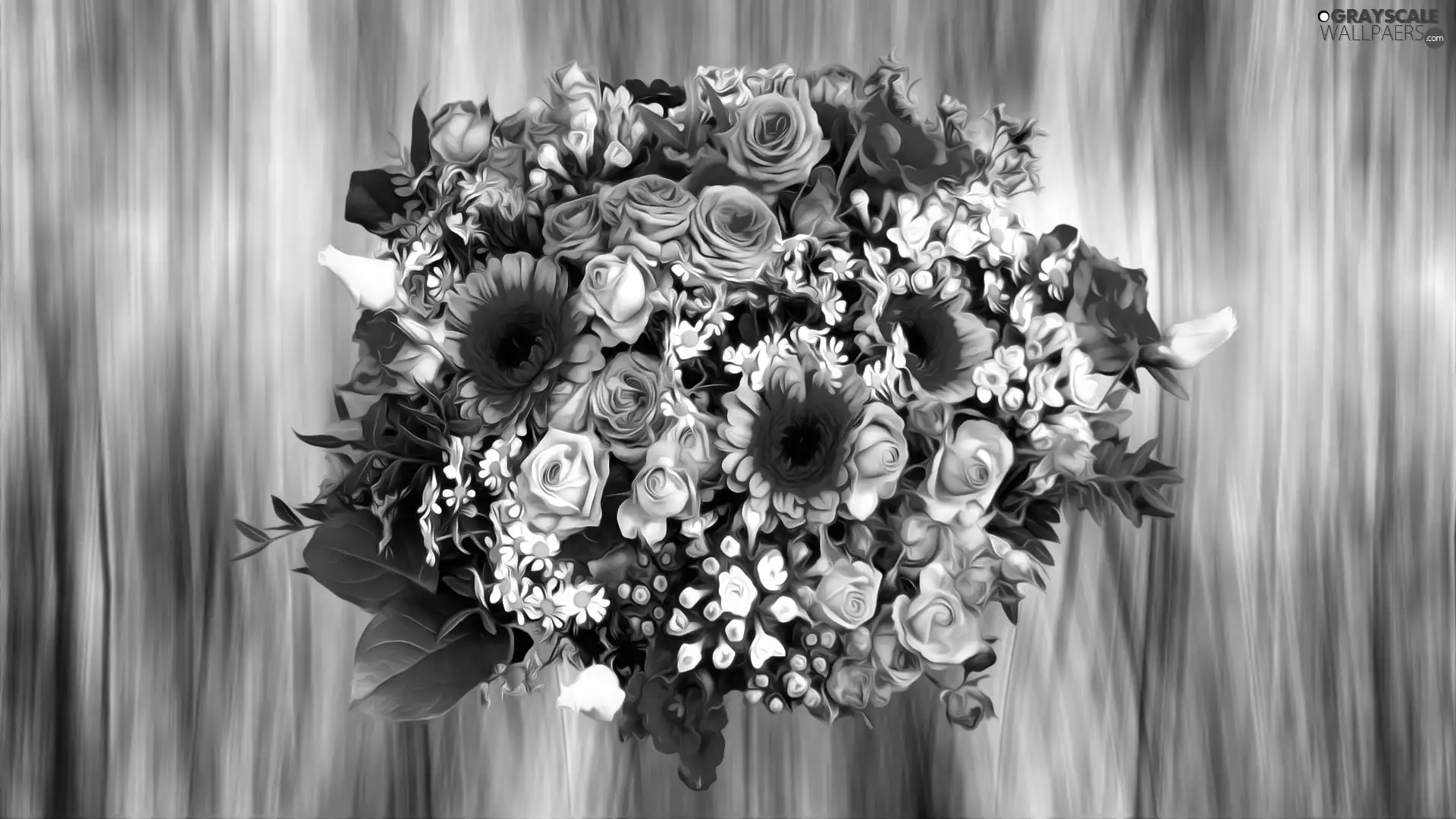 gerberas, graphics, bouquet, roses, Flowers