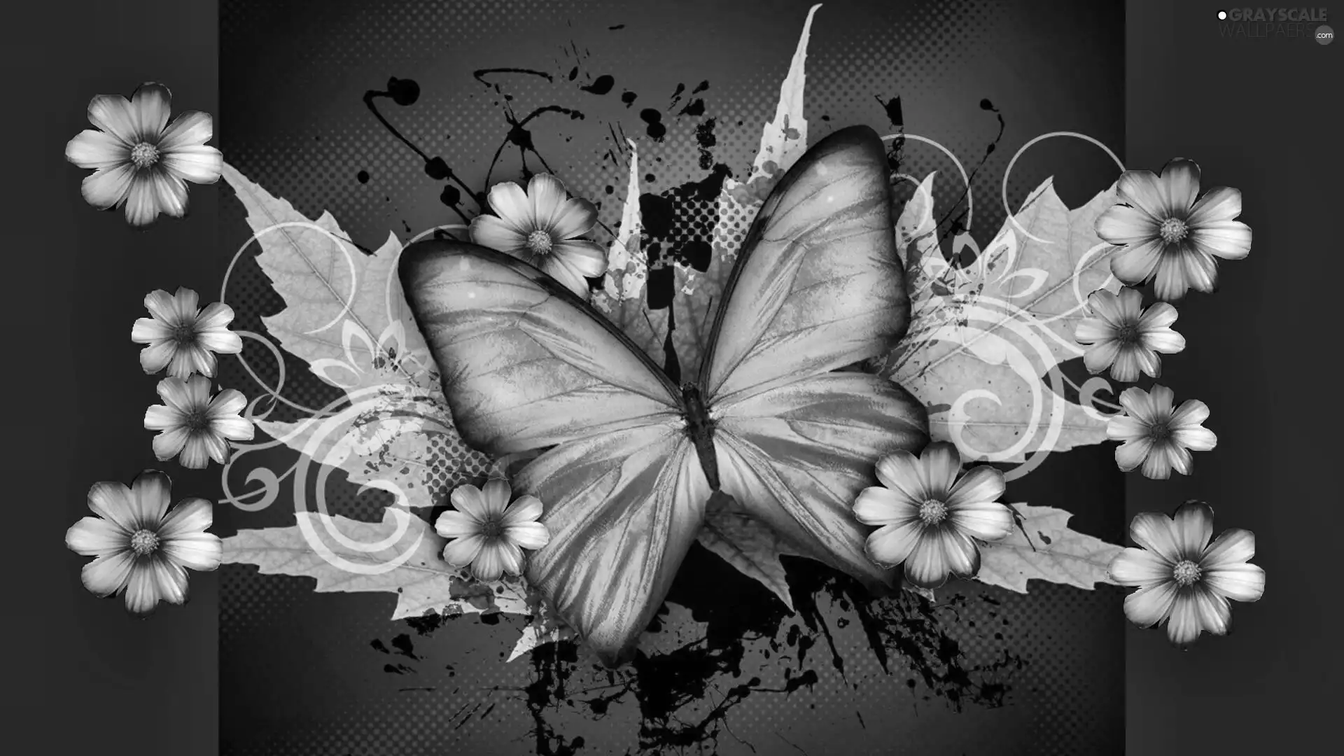 graphics, butterfly, flowers