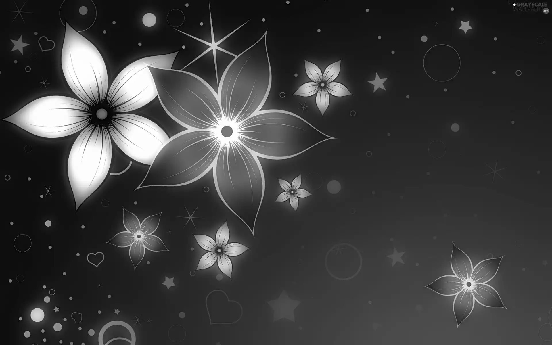 graphics, Flowers, Stars
