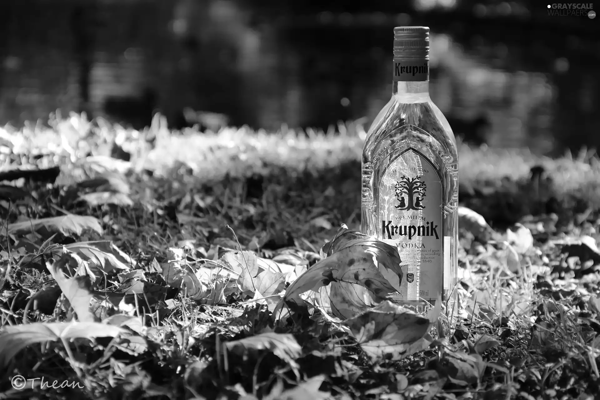 Krupnik, vodka, grass, Leaf, Bottle, Poland
