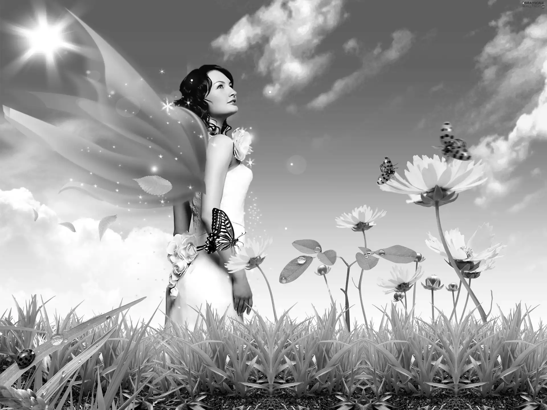 butterflies, elf, grass, Sky, Flowers, Women