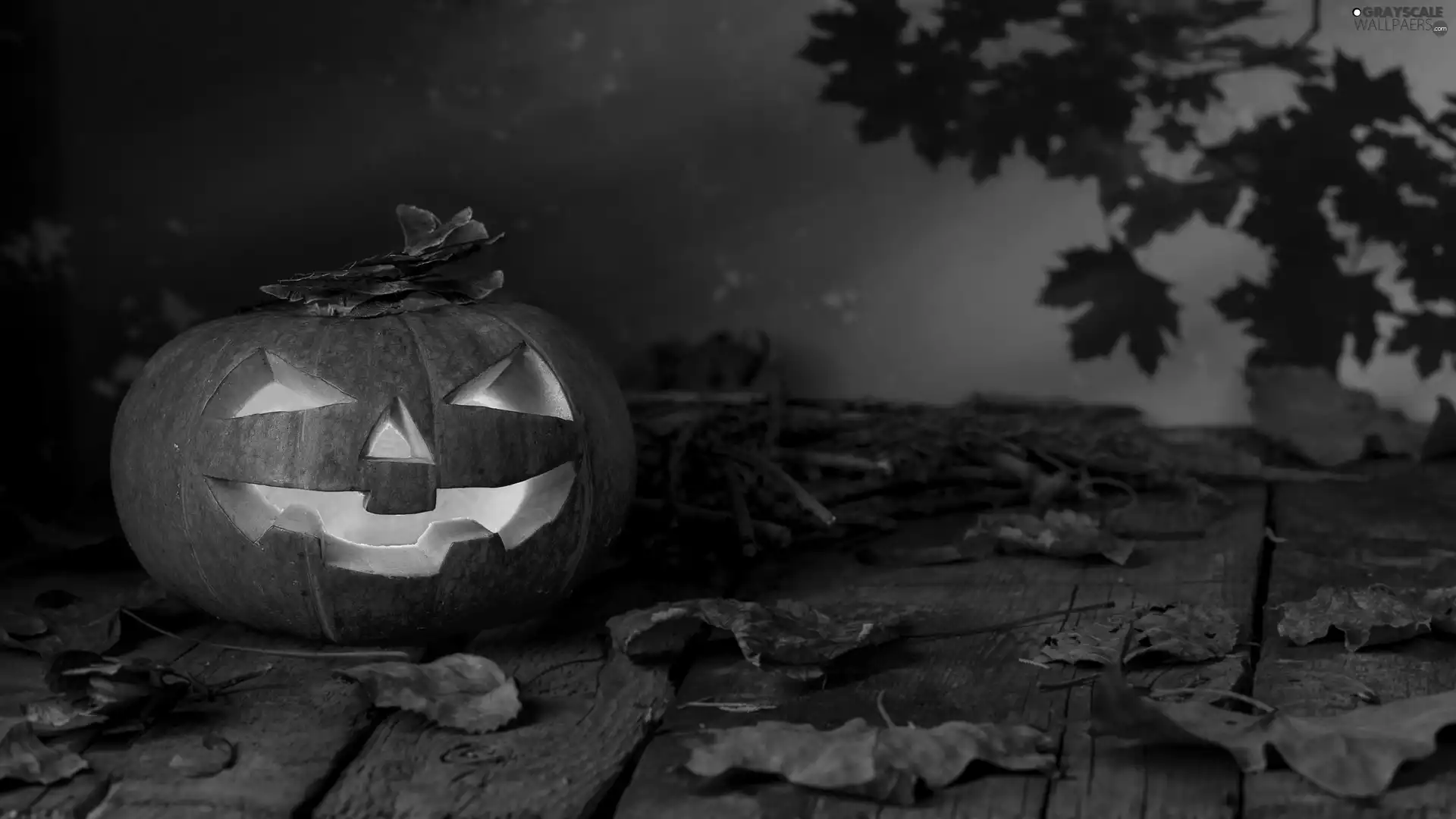 Night, halloween, boarding, Leaf, pumpkin