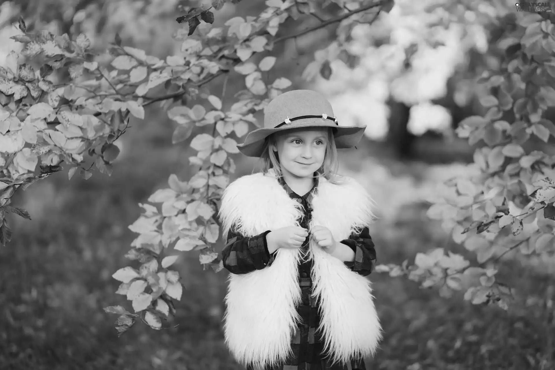 viewes, girl, waistcoat, Smile, shirt, trees, autumn, Hat