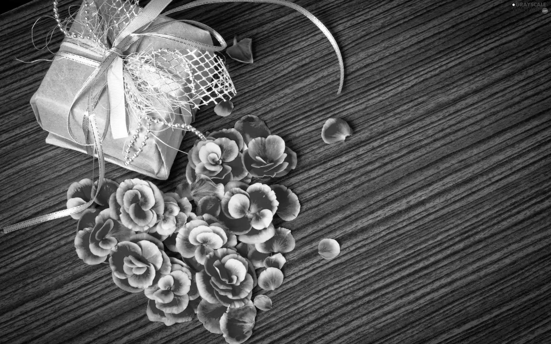 DBZ, Heart, Present, flowers, valentine